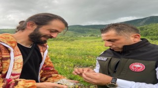 Ardahanda Aronya üreticiye alternatif olacak
