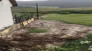 Ardahanda sağanak sele neden oldu; Evleri su bastı, tarım arazileri zarar gördü