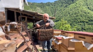 Arılar oğul verdi, babasının yeni koloni oluşturma sürecini film gibi çekti