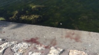 Avcılarda feci cinayet: Önce bıçakladılar, sonra denize attılar