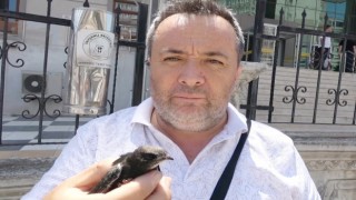 Ayağına ip takılmış ebabil kuşu Doğa ve Milli Parklar yetkililerine teslim edildi