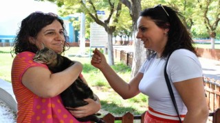 Ayda ortalama 600 sokak hayvanının tedavisi ve bakımı yapılıyor