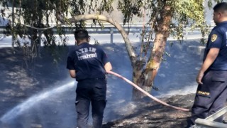 Aydın Büyükşehir Belediyesinin ateş savaşçıları yangından yangına koştu