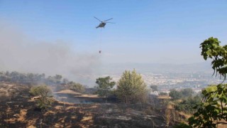 Aydında çıkan yangın üniversite kampüs alanına doğru ilerliyor