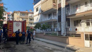 Aydında yangın paniği