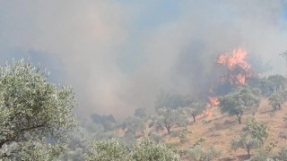 Aydındaki yangın kontrol altına alındı