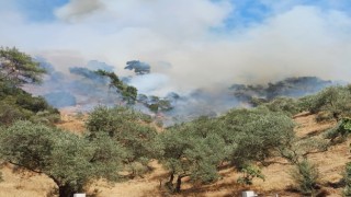 Aydındaki yangına havadan ve karadan müdahale devam ediyor