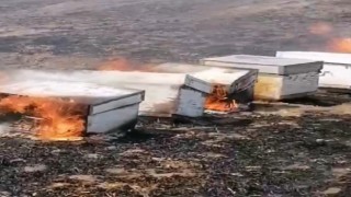 Babaeskide anız yangını: Arılar telef oldu
