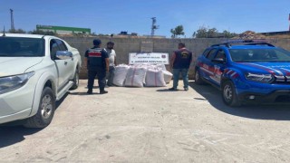 Babasının tarlasından 1,5 ton Antep fıstığı çalan şüpheli yakalandı