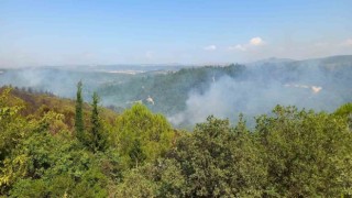 Balıkesirdeki orman yangınlarına müdahale sürüyor