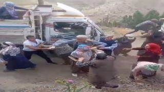 Başkalede taşlı sopalı yayla arazisi kavgası: 3 yaralı