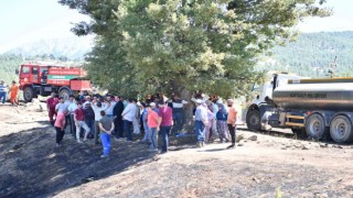 Başkan Kotan, Doyrandaki yangın alanında incelemelerde bulundu