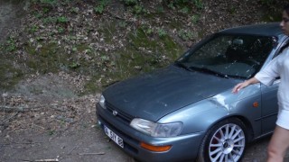 Belgrad Ormanında ağaç araçların üzerine devrildi
