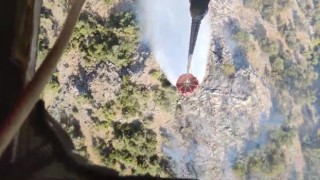 Bergama‘da orman yangını