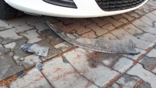 Beylikdüzünde sokak köpekleri park halindeki arabayı parçaladı