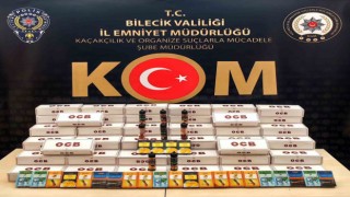Bilecikte kaçakçılara yönelik operasyonda 1 şüpheli yakalandı