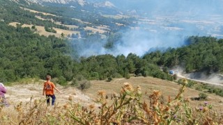 Bilecikte son 2 günde 3üncü orman yangını