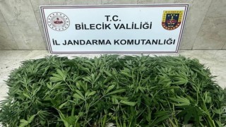 Bilecikte uyuşturucu operasyonu: 2 şüpheli tutuklandı