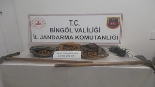Bingölde salep soğanı toplayanlar yakalandı, 1 milyon 161 bin lira ceza kesildi