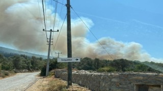 Bodrumdaki orman yangınına havadan ve karadan müdahale devam ediyor