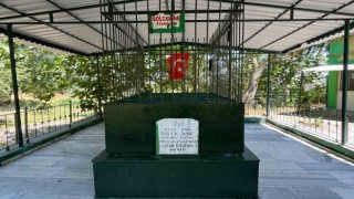 Bolca Nine türbesi, 500 yıldır ziyaretçilerini ağırlıyor