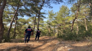 Bozdoğanda orman yangını devriyesi