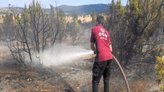 Bozüyükte çıkan anız yangını ormanlık alana sıçramadan söndürüldü