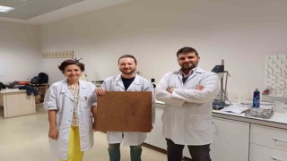 BTÜ Orman Fakültesinden TÜBİTAK başarısı