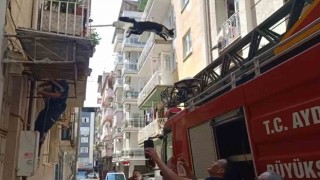 Bu kedi dokuz canlı: Kurtarmaya gelen itfaiyeciden korkup 4üncü kattan atlayarak kaçtı