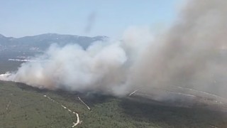 Bucada orman yangını