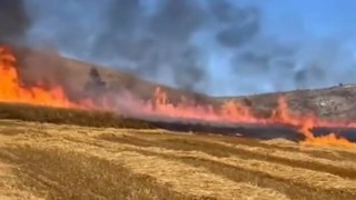 Buğday ekili tarlada çıkan yangın 15 dönüm alanı küle çevirdi