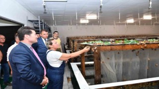 Bulgaristandan getirip Trabzonda üretmeye başladılar