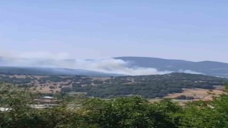 Bursada orman yangını çıktı, havadan ve karadan müdahaleler başladı
