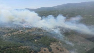Bursada orman yangınına havadan ve karadan müdahale sürüyor