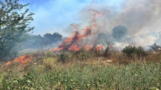 Bursada otluk alanda çıkan yangın büyümeden söndürüldü