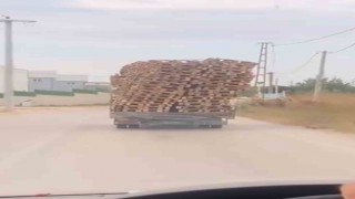 Bursada tehlikeli palet taşımacılığı kamerada
