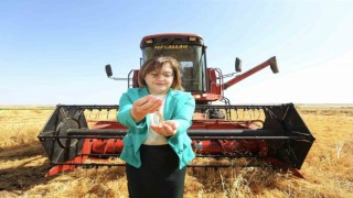 Büyükşehir ile çiftçinin yüzü gülüyor tarıma destek artarak sürüyor