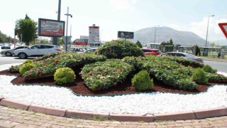 Büyükşehir kentin dört bir yanını 800 bin adet çiçek ile donattı