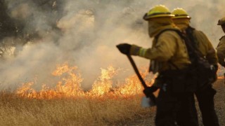 California tarihinin en büyük 6. orman yangını: 373 bin dönümden fazla alan kül oldu