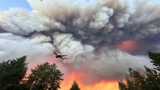 Californianın en büyük orman yangını: 145 bin dönümden fazla alan kül oldu
