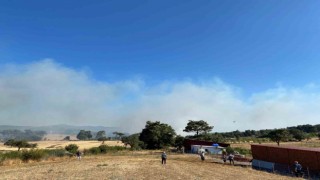 Çanakkalede orman yangını: Havadan ve karadan müdahale ediliyor