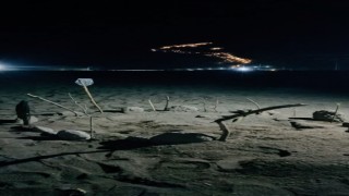 Caretta carettalar Gazipaşa sahiline yumurtalarını bıraktı