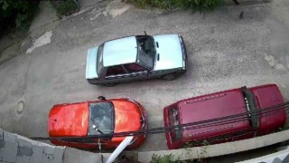 Çarptığı kedi telef oldu, o yoluna devam etti