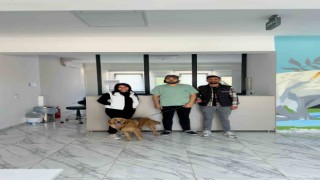 Çayırovada 70 sokak hayvanı yeni yuvalarına kavuştu