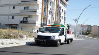 Çayırovada vektörle mücadele sürüyor