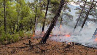 Cehennem Deresi yanıyordu, orman ve itfaiyeciler kurtardı