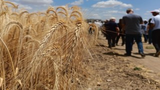 Çeşidin doğru verimin bol olsun projesi gerçekleşti