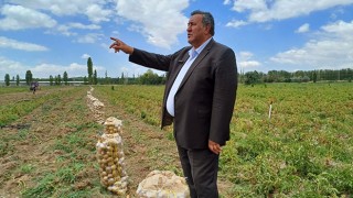 CHP Niğde Milletvekili Gürer: “Patates üreticisi de tüketicisi de dertli”