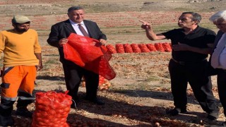 CHP'li Vekil Gürer: “Tarım Politikaları Yerli Üreticiyi Zora Sokuyor”