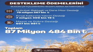 Çiftçilere 87 Milyon TL Destek Ödemesi Yapıldı